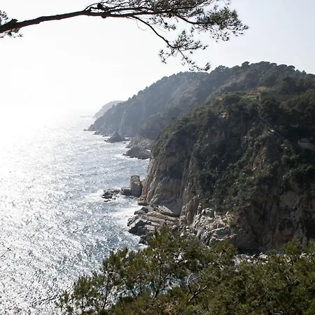 Grande A 3min Playa *